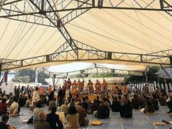 ビッグパワーテント20mx20m